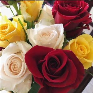 Happy Mother’s Day!